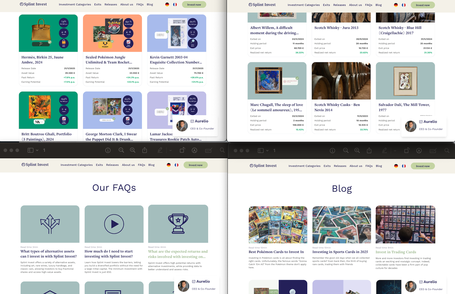 Splint Main Interface